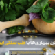 درمان بیماری‌ها با طب سنتی ایرانی
