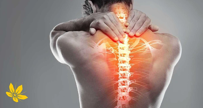 causes discopathy - علل ایجاد دیسکوپاتی