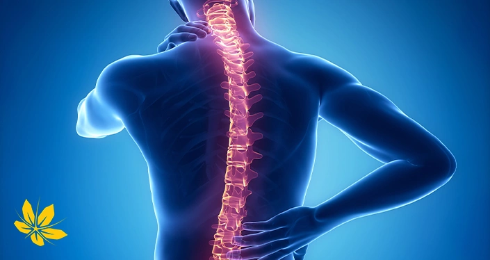 methods treating discopathy - روشهای درمان دیسکوپاتی