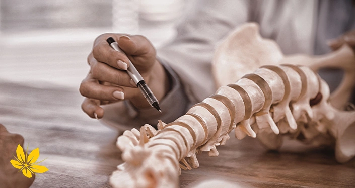 symptoms discopathy - علائم دیسکوپاتی