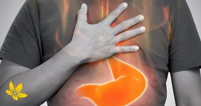 Gastric reflux - رفلکس معده 