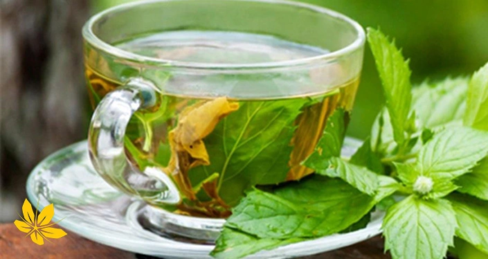 Lemon balm tea - دمنوش بادرنجبویه