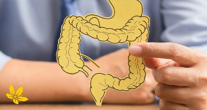 methods treating constipation - روشهای درمان یبوست