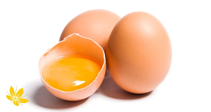 egg - تخم مرغ