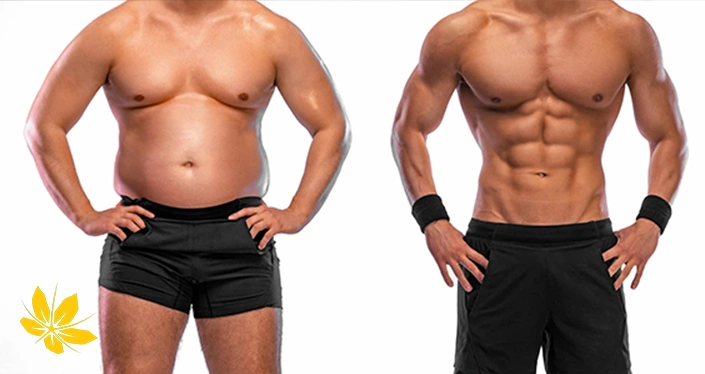 traditional gaining weight - افزایش وزن در طب سنتی