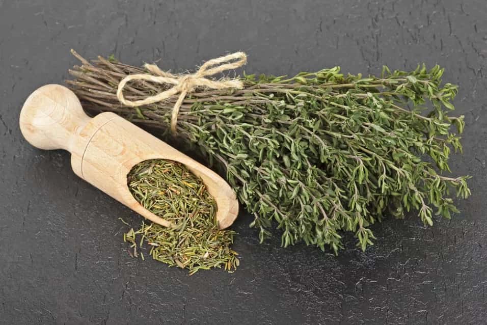 درمان حساسیت با آویشن طب سنتی