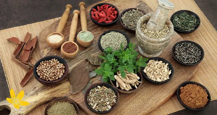 herbal medicine - داروی گیاهی