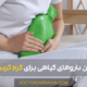 برای گرمی رحم چه بخوریم؟ بهترین داروهای گیاهی برای گرم کردن رحم - The best herbal remedies to warm the uterus