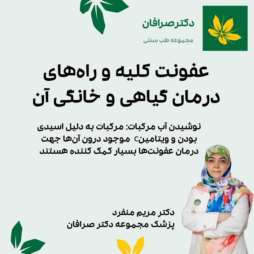 راه های درمان عفونت کلیه با طب سنتی و درمان خانگی آن