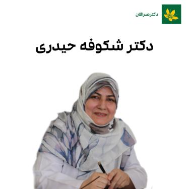 Dr Shokoufe Heidari