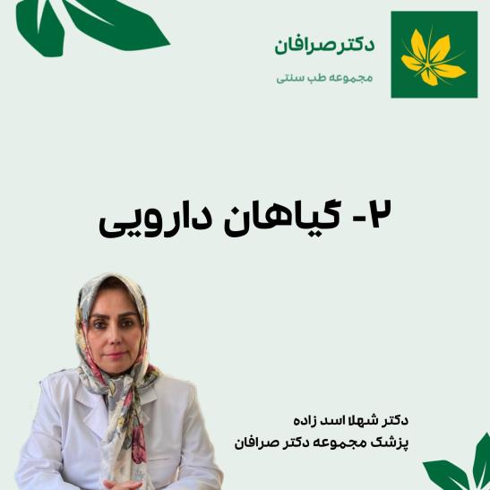 گیاهان دارویی