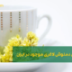 معرفی اثرگذار ترین دمنوش لاغری موجود در ایران | Introducing the most effective slimming tea available in Iran