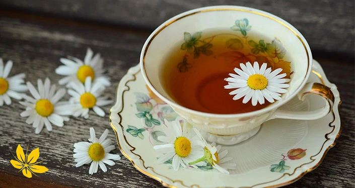 معرفی بهترین دمنوش لاغری | Introducing the best slimming tea