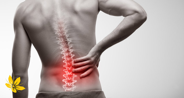 برای درمان کمر درد چه بخوریم؟ | What should we eat to treat back pain?
