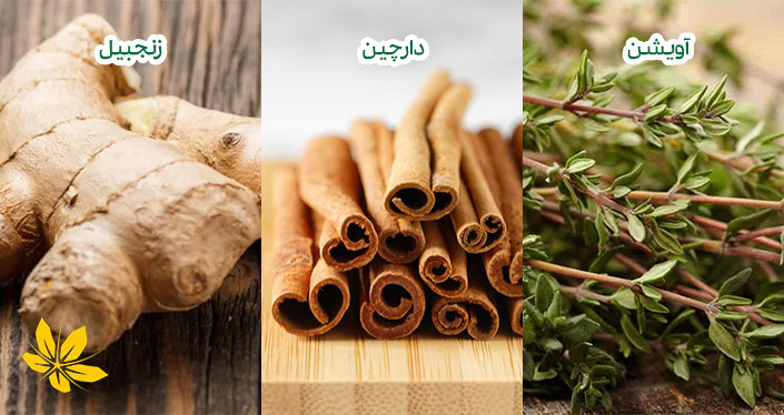 رآویشن، دارچین و زنجبیل برای درمان لاغری زیاد | Thyme, cinnamon and ginger to treat excessive weight loss