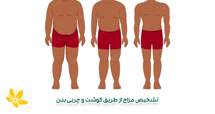 تشخیص مزاج از طریق گوشت و چربی بدن | Determining temperament through flesh and body fat