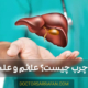 کبد چرب چیست؟ - What is fatty liver