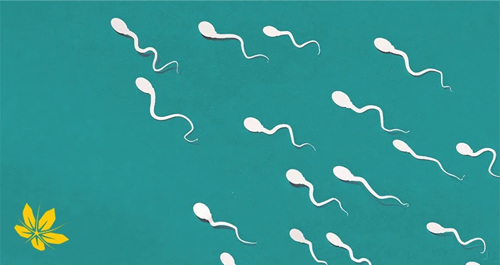 علائم اسپرم ضعیف - Symptoms of weak sperm
