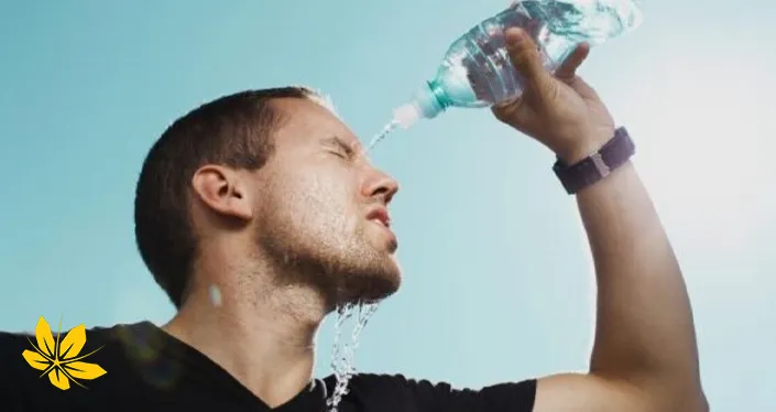 heat stroke - گرمازدگی