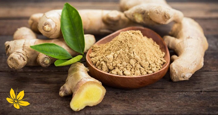 پودر زنجبیل برای درمان سرگیجه - Ginger powder for dizziness treatment