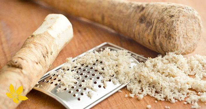 درمان عفونت سینوسی با ترب کوهی - Horseradish for sinus infection treatment