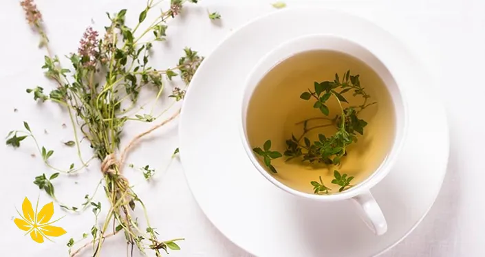 Thyme herb tea benefits for throat phlegm treatment - فواید دمنوش آویشن برای درمان خلط گلو