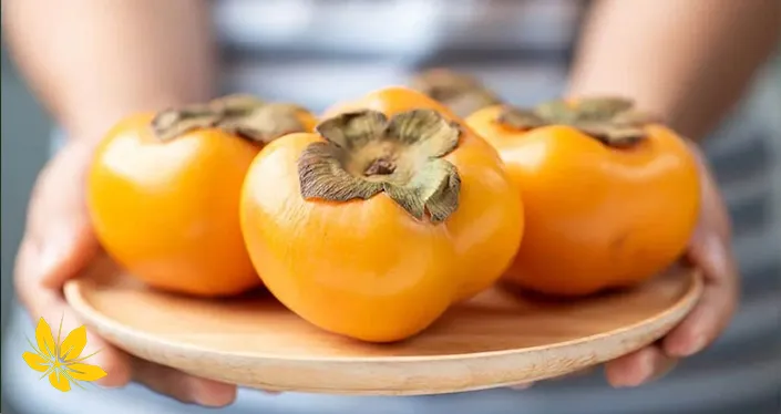 Persimmon in autumn - خرمالو در پاییز