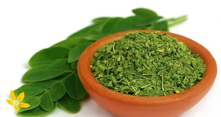 Mariana plant - گیاه ماریانا