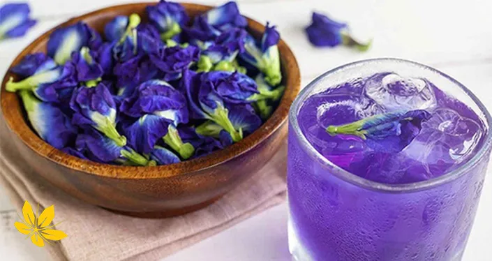 Marshmallow - گل ختمی