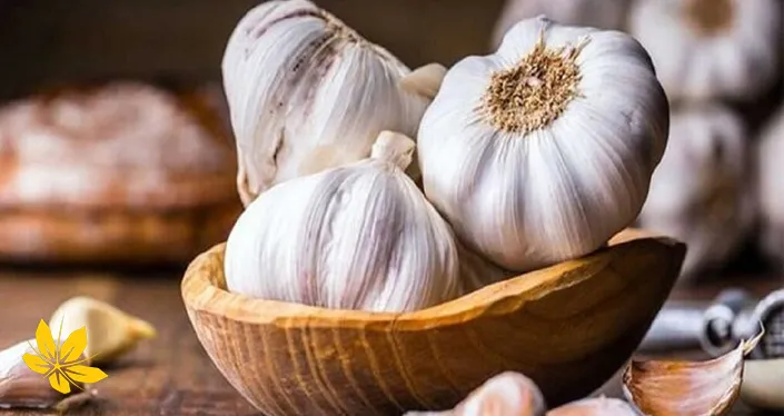 Raw garlic - سیر خام