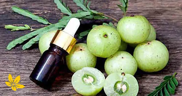 Amla extract - عصاره آملا