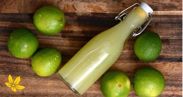 Fresh lemon juice - آبلیموی تازه