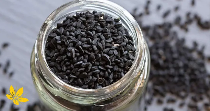 black seed - سیاه دانه