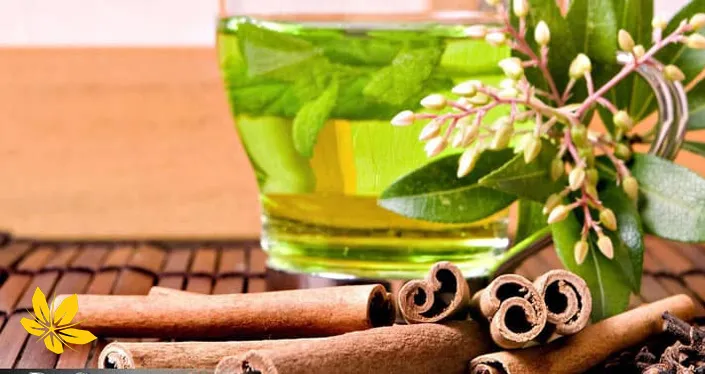 Green tea and cinnamon tea - دمنوش چای سبز و دارچین