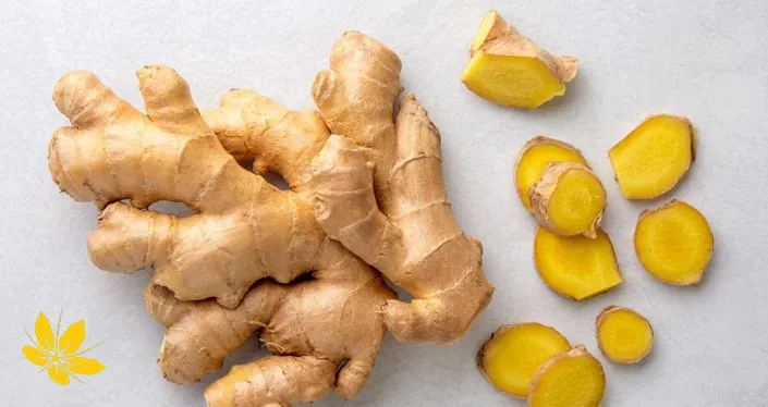 ginger - زنجبیل