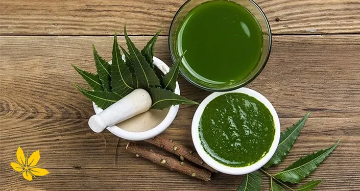 neem - چریش