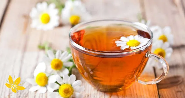 Chamomile tea - دمنوش بابونه