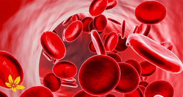 anemia - کم‌خونی 