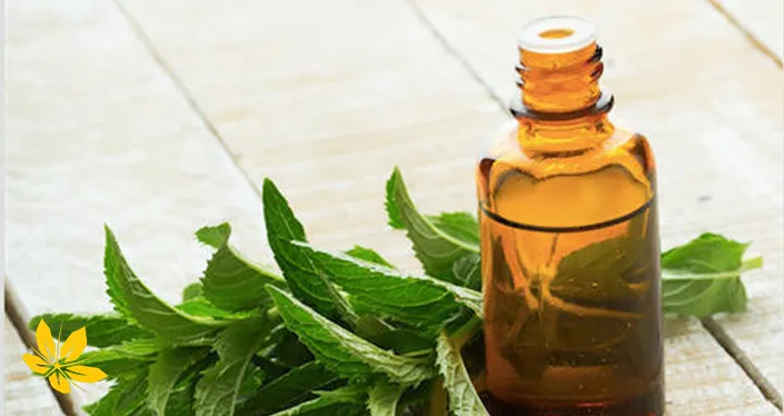 neem oil - روغن چریش